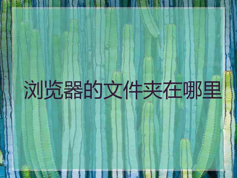 浏览器的文件夹在哪里