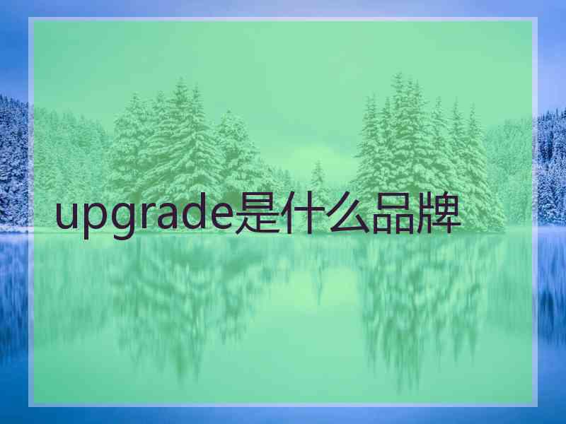 upgrade是什么品牌