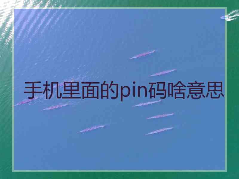 手机里面的pin码啥意思