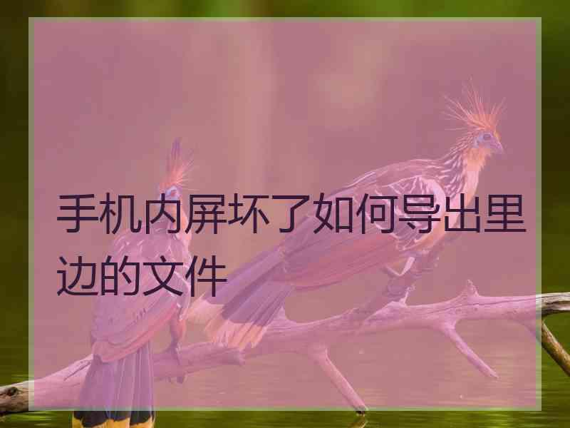 手机内屏坏了如何导出里边的文件