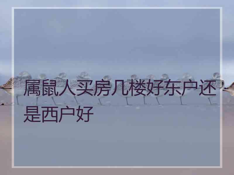 属鼠人买房几楼好东户还是西户好