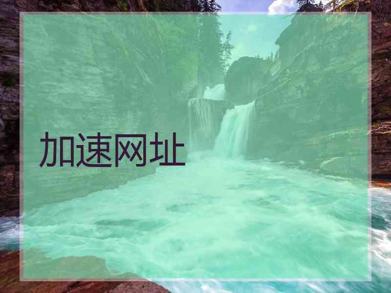 加速网址