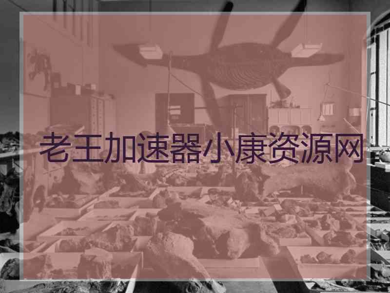 老王加速器小康资源网