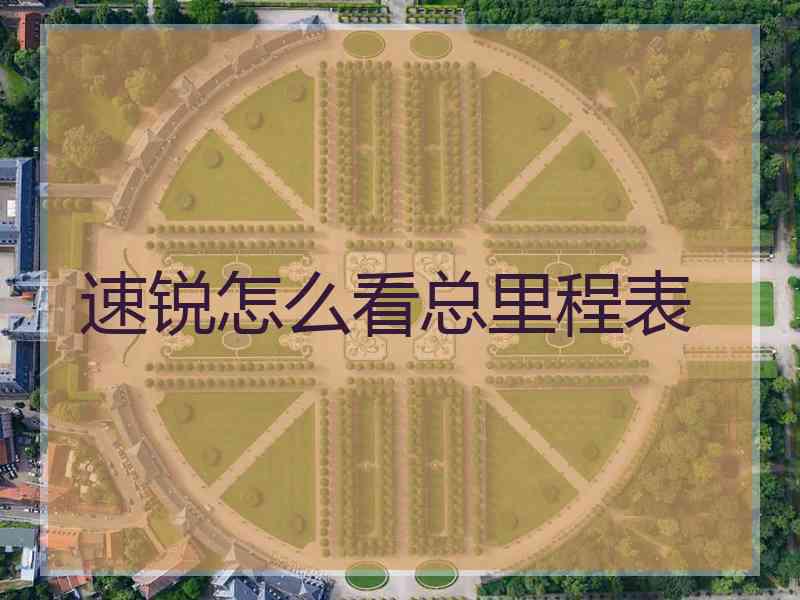 速锐怎么看总里程表