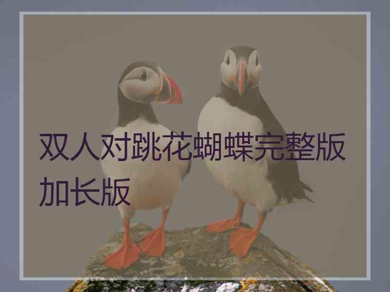 双人对跳花蝴蝶完整版加长版