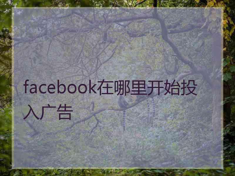 facebook在哪里开始投入广告