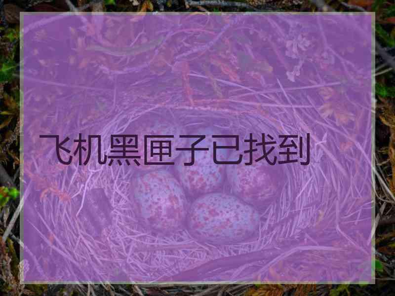 飞机黑匣子已找到