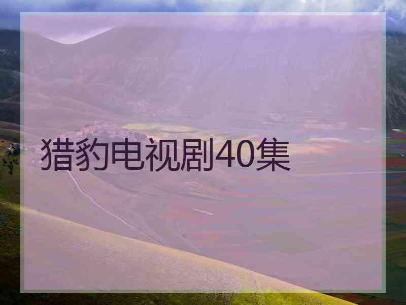 猎豹电视剧40集