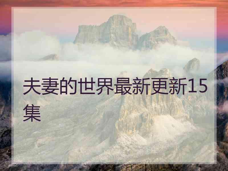 夫妻的世界最新更新15集