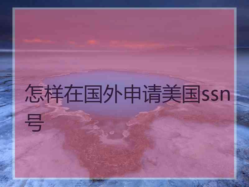怎样在国外申请美国ssn号