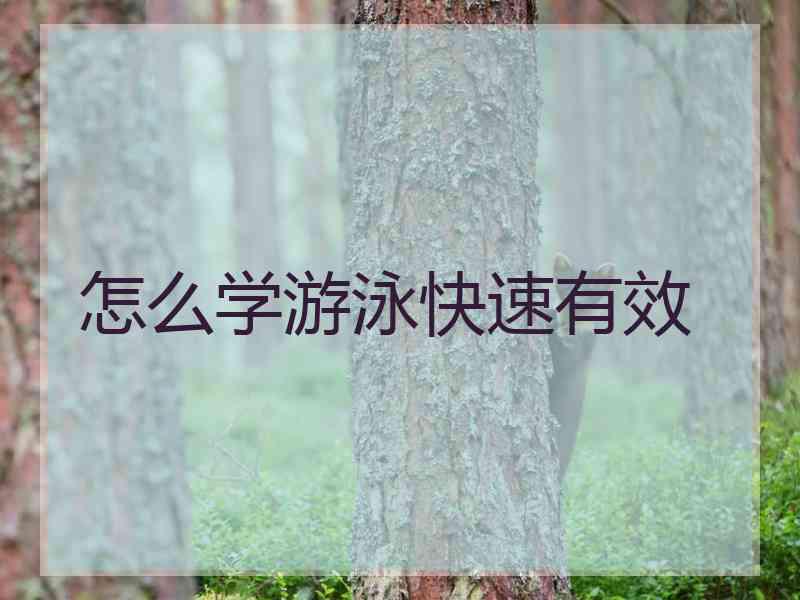 怎么学游泳快速有效
