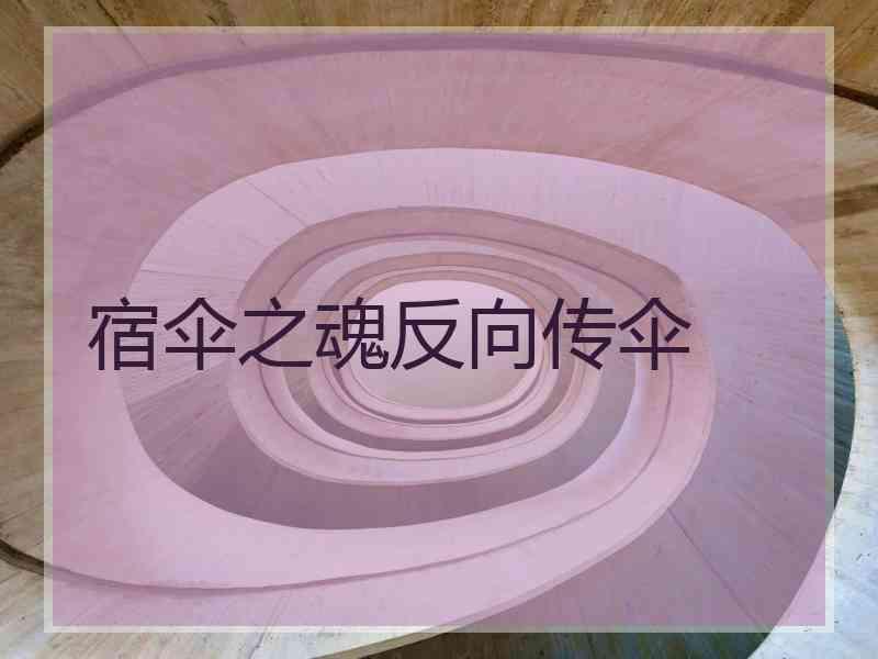 宿伞之魂反向传伞