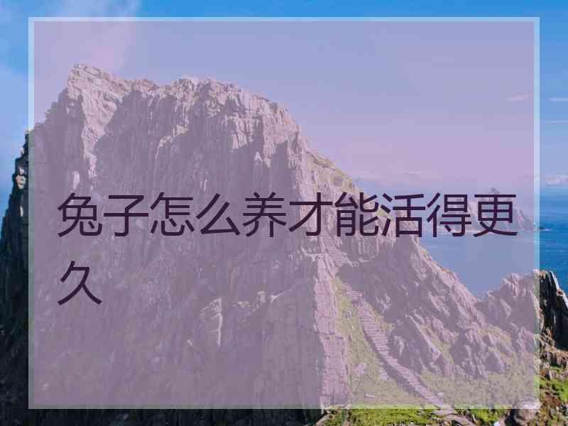 兔子怎么养才能活得更久