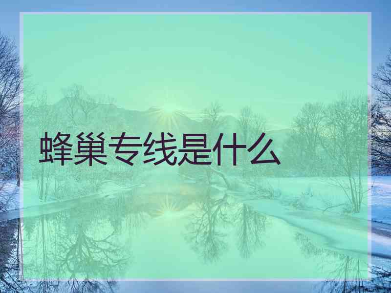 蜂巢专线是什么