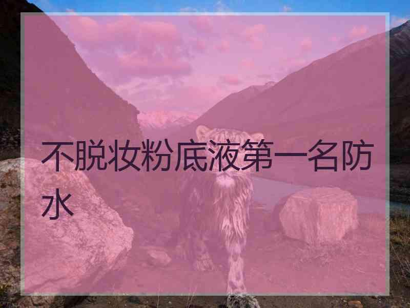 不脱妆粉底液第一名防水