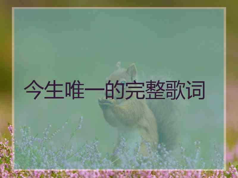 今生唯一的完整歌词
