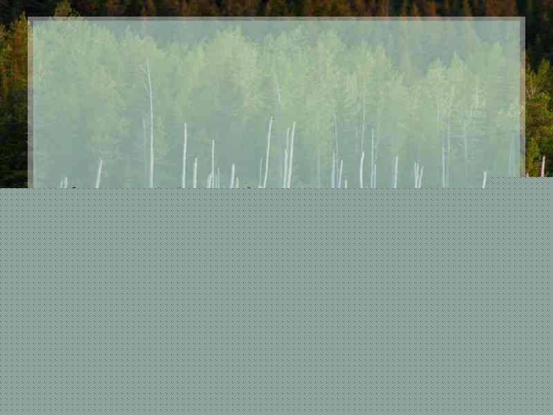 良辰美景好时光小说