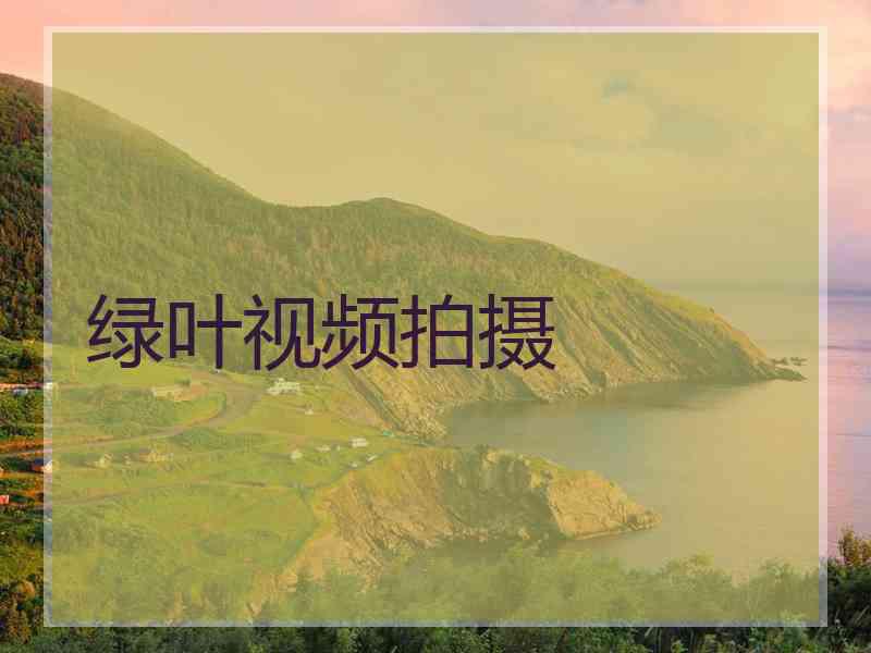 绿叶视频拍摄