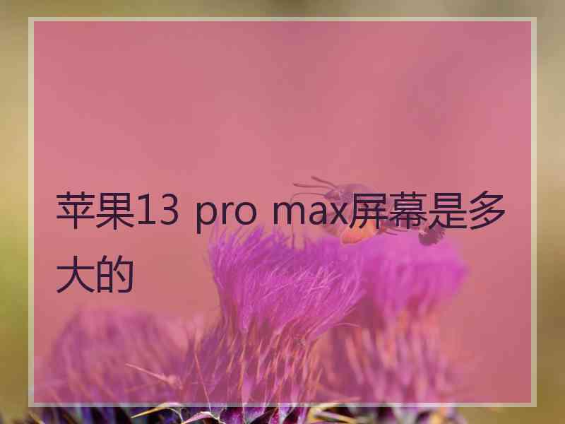 苹果13 pro max屏幕是多大的