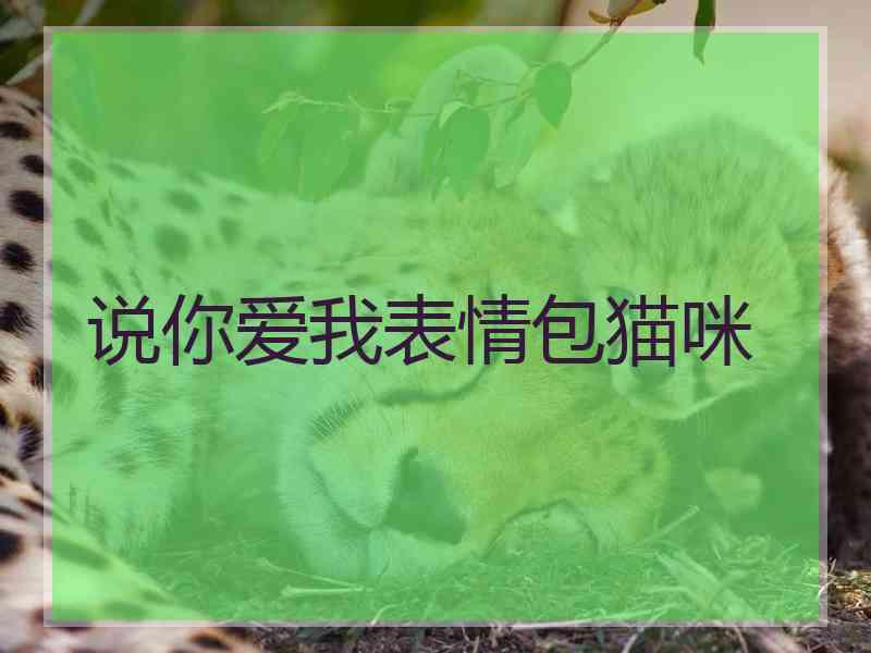 说你爱我表情包猫咪