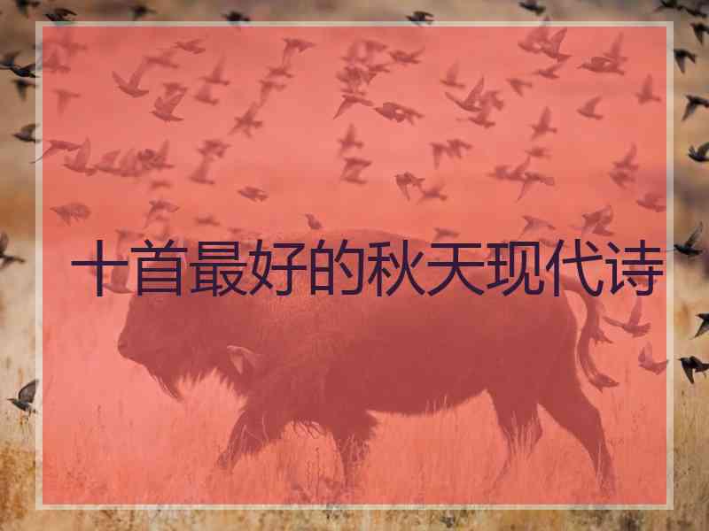 十首最好的秋天现代诗