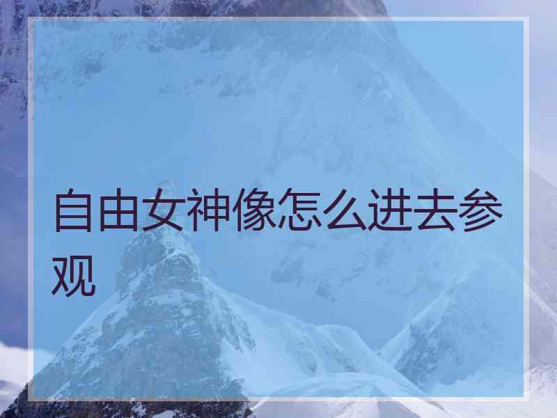 自由女神像怎么进去参观
