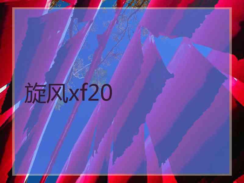 旋风xf20