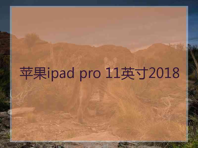 苹果ipad pro 11英寸2018