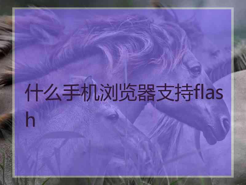 什么手机浏览器支持flash