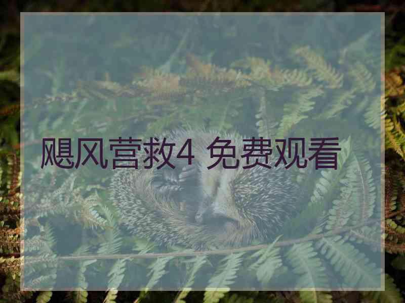 飓风营救4 免费观看