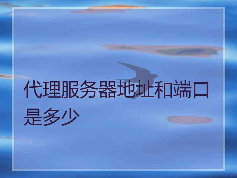 代理服务器地址和端口是多少