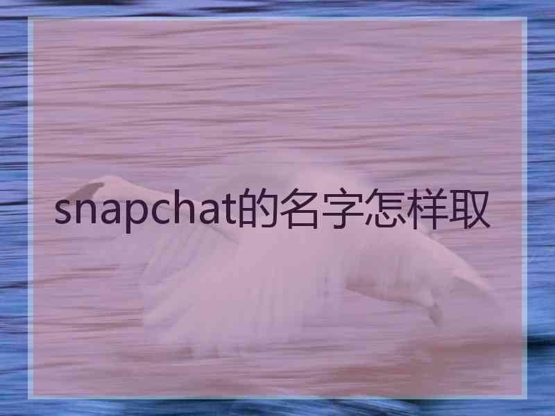 snapchat的名字怎样取