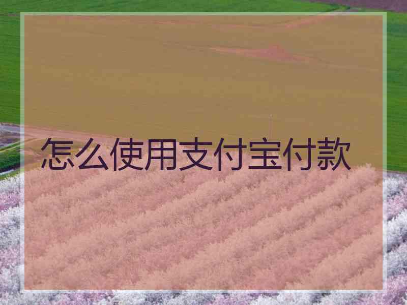 怎么使用支付宝付款