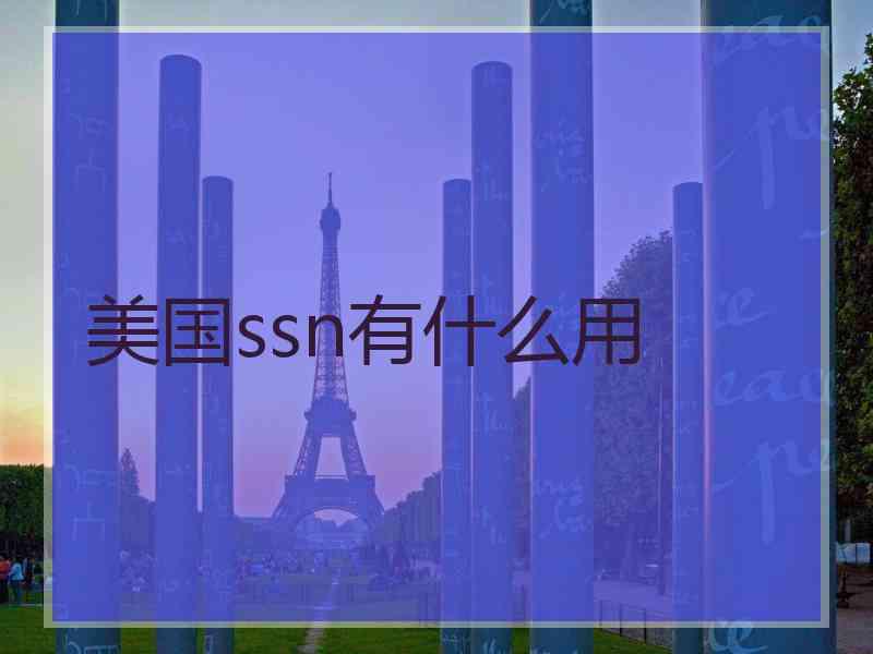 美国ssn有什么用