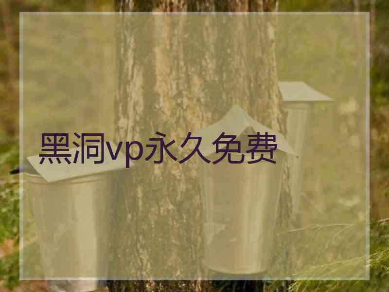 黑洞vp永久免费