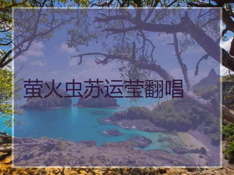 萤火虫苏运莹翻唱