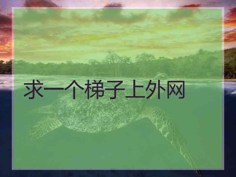 求一个梯子上外网