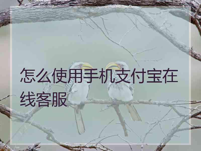 怎么使用手机支付宝在线客服