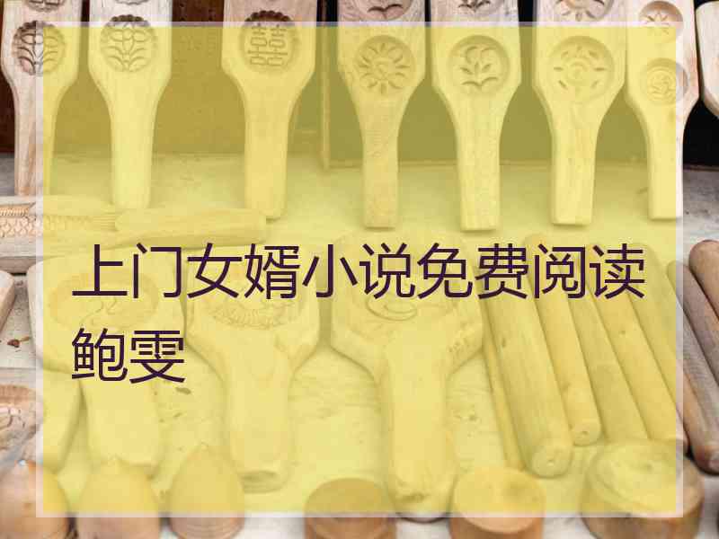上门女婿小说免费阅读鲍雯
