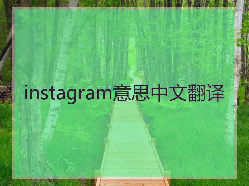 instagram意思中文翻译