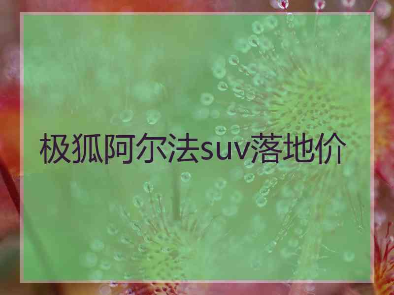极狐阿尔法suv落地价