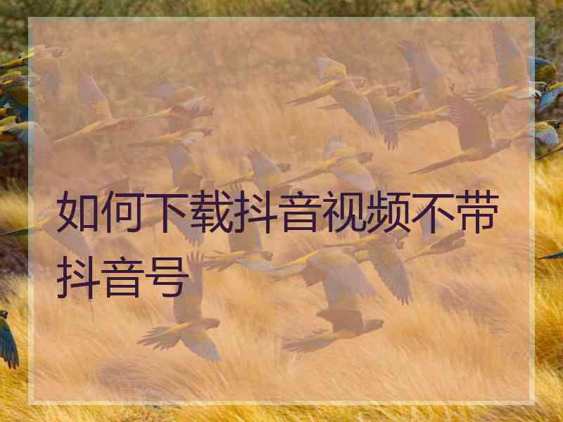 如何下载抖音视频不带抖音号