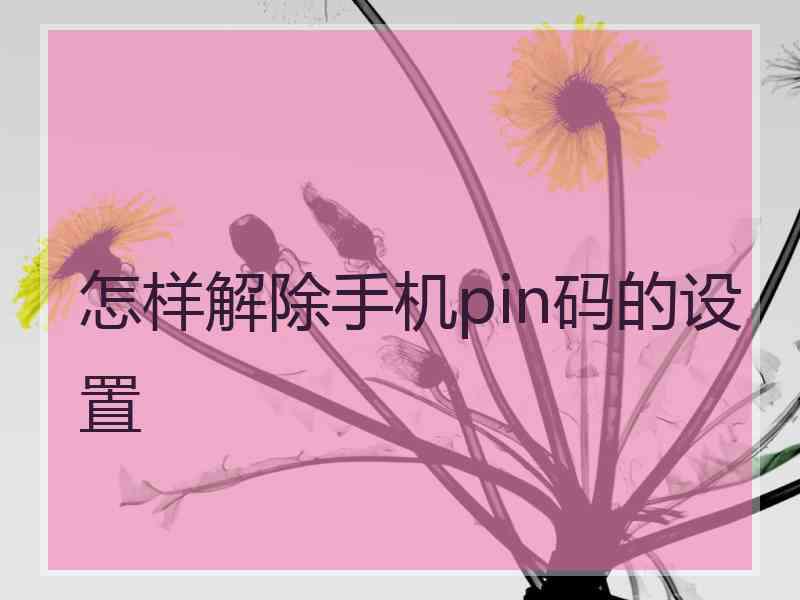 怎样解除手机pin码的设置