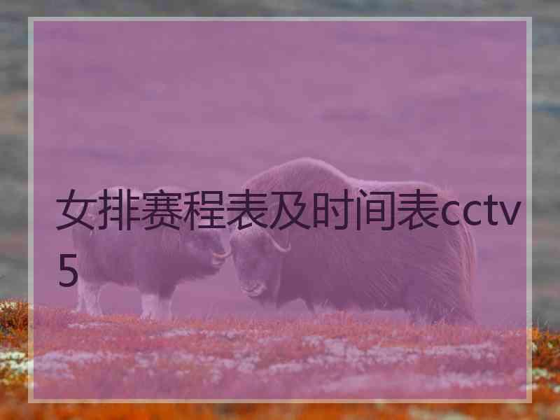 女排赛程表及时间表cctv5