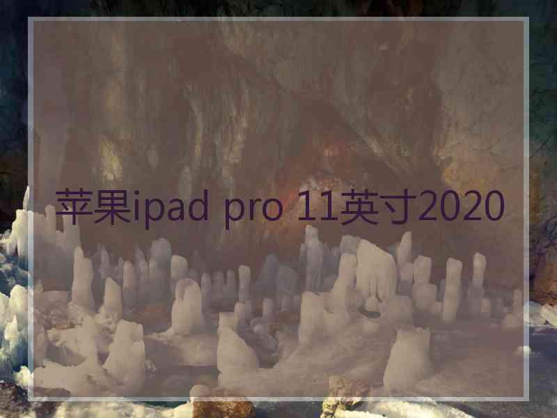 苹果ipad pro 11英寸2020