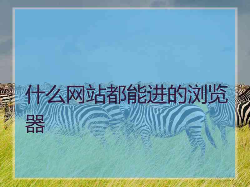 什么网站都能进的浏览器