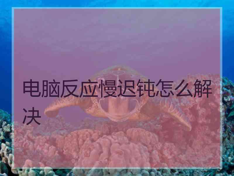 电脑反应慢迟钝怎么解决