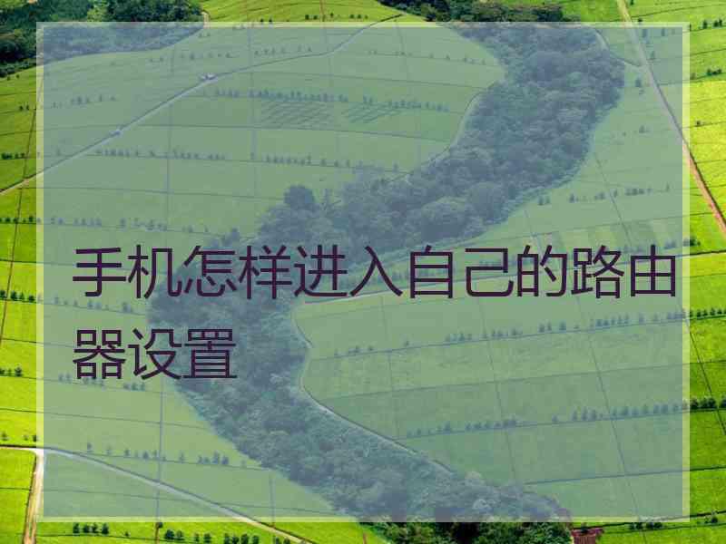 手机怎样进入自己的路由器设置
