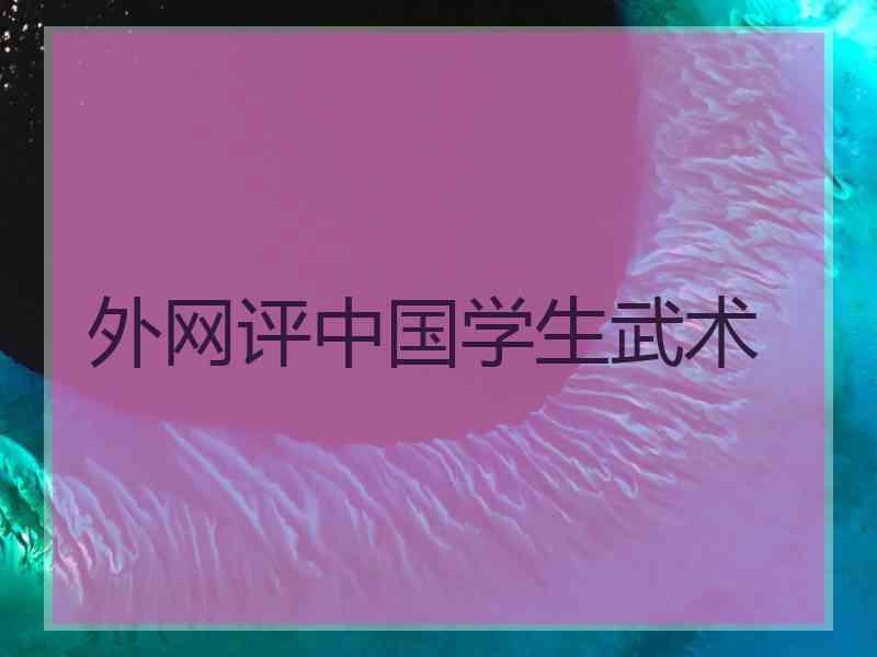 外网评中国学生武术