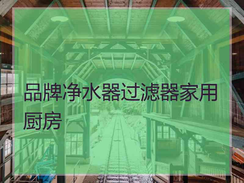 品牌净水器过滤器家用厨房